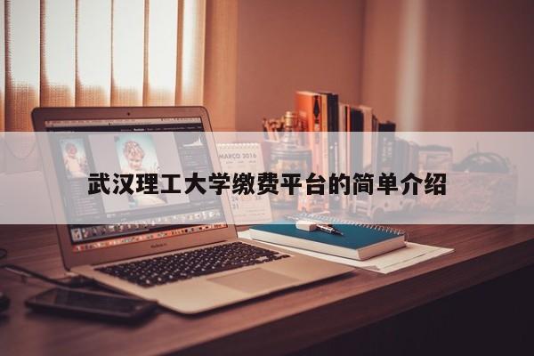 武汉理工大学缴费平台的简单介绍