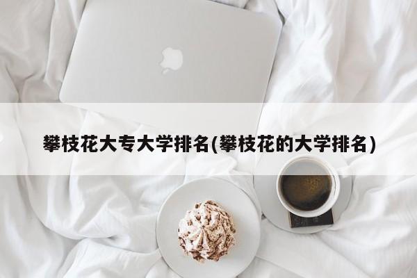 攀枝花大专大学排名(攀枝花的大学排名)
