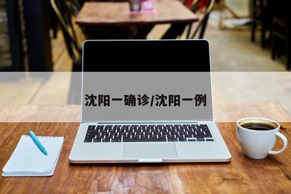 沈阳一确诊/沈阳一例