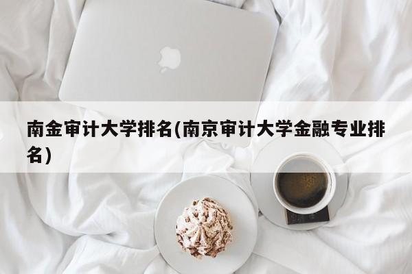 南金审计大学排名(南京审计大学金融专业排名)