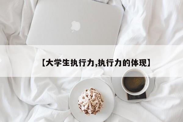 【大学生执行力,执行力的体现】